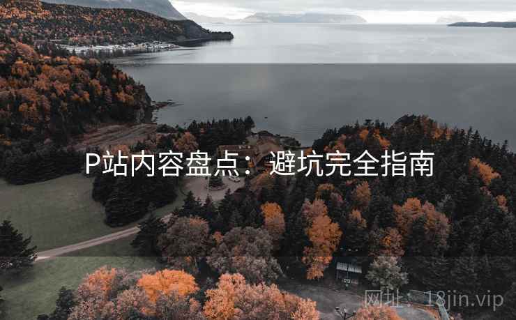 P站内容盘点：避坑完全指南