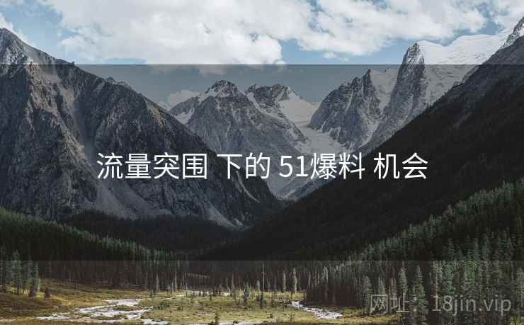 流量突围 下的 51爆料 机会