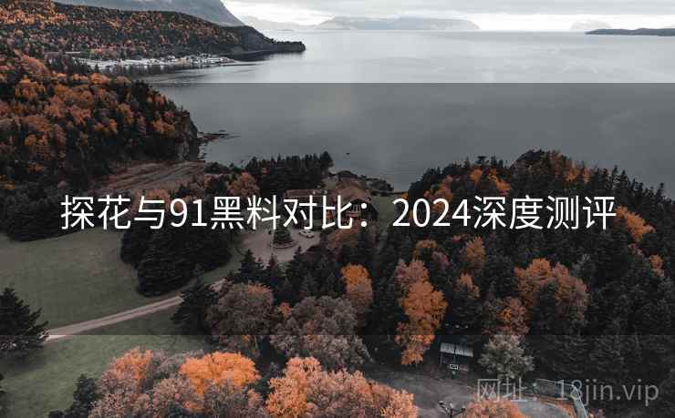 探花与91黑料对比：2024深度测评