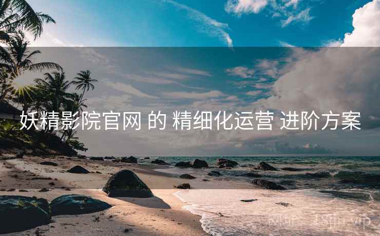 妖精影院官网 的 精细化运营 进阶方案
