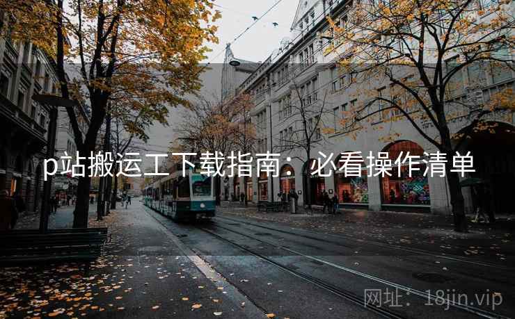 p站搬运工下载指南：必看操作清单