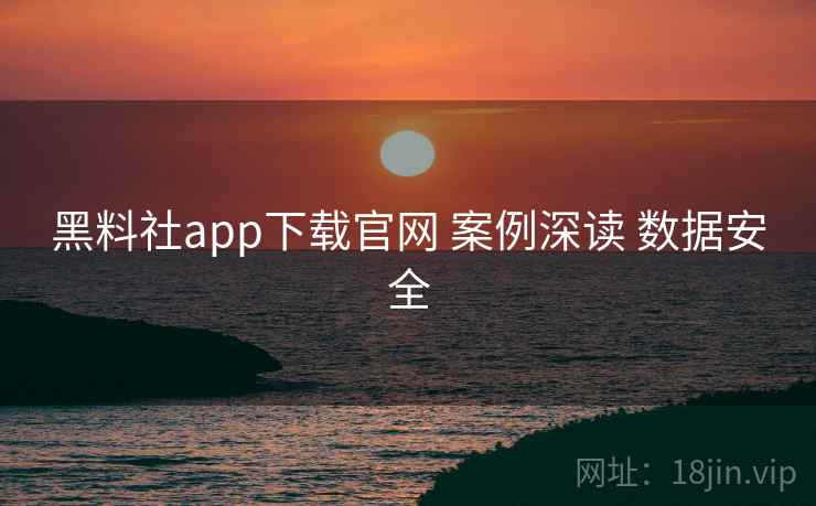 黑料社app下载官网 案例深读 数据安全