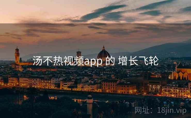 汤不热视频app 的 增长飞轮