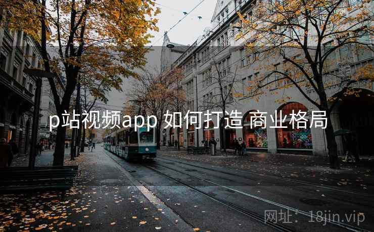p站视频app 如何打造 商业格局