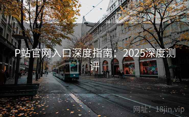 P站官网入口深度指南：2025深度测评