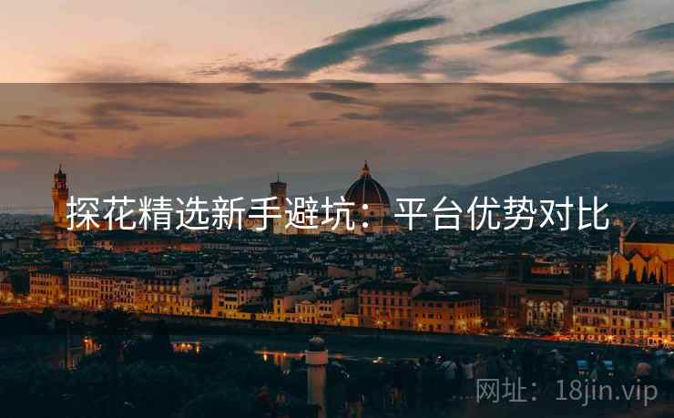 探花精选新手避坑：平台优势对比