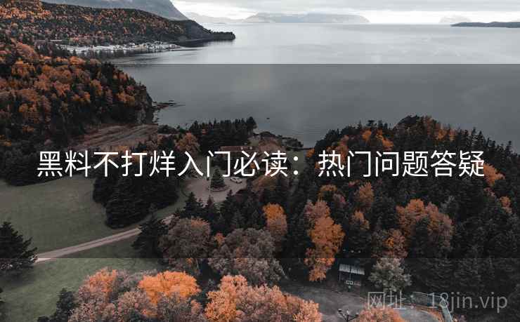 黑料不打烊入门必读：热门问题答疑