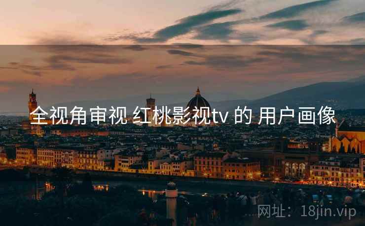 全视角审视 红桃影视tv 的 用户画像