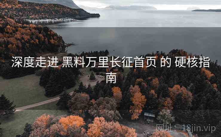 深度走进 黑料万里长征首页 的 硬核指南