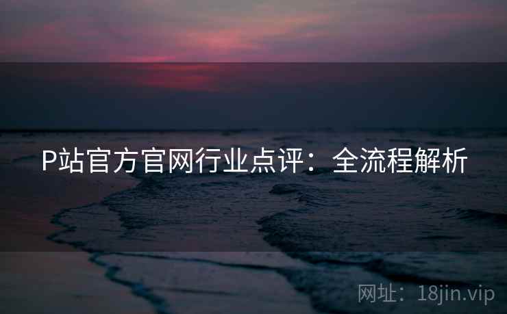 P站官方官网行业点评：全流程解析
