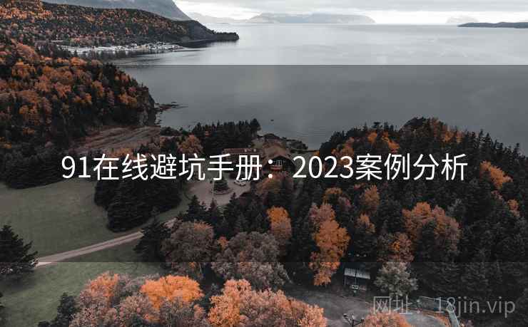 91在线避坑手册：2023案例分析
