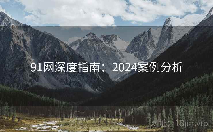 91网深度指南：2024案例分析