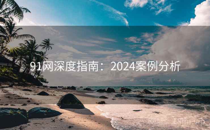 91网深度指南：2024案例分析