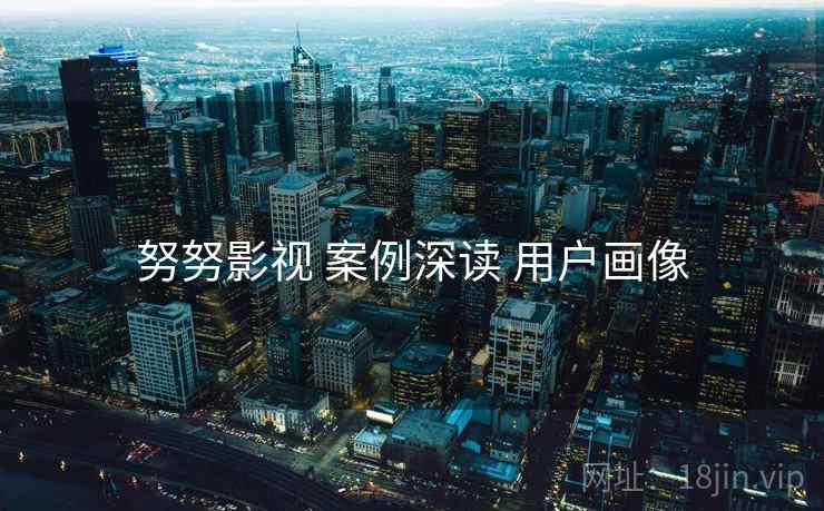 努努影视 案例深读 用户画像