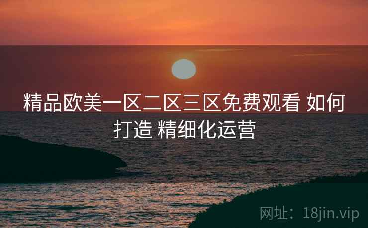 精品欧美一区二区三区免费观看 如何打造 精细化运营