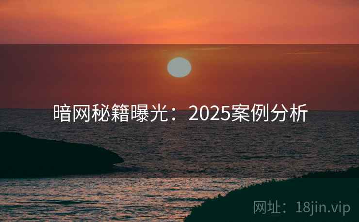 暗网秘籍曝光：2025案例分析