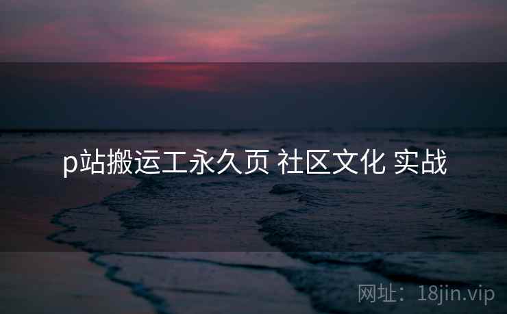 p站搬运工永久页 社区文化 实战