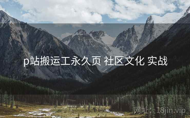 p站搬运工永久页 社区文化 实战