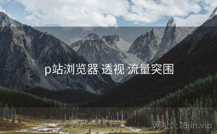 p站浏览器 透视 流量突围